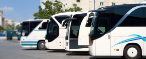 software para transporte por ônibus qual escolher